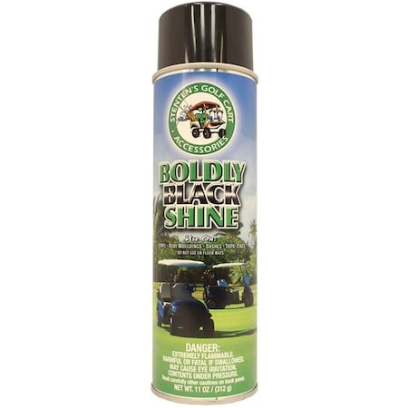 Stentensgolf StentensGolf BL000-A Boldly Black Instant Detail Aerosol Spray BL000-A